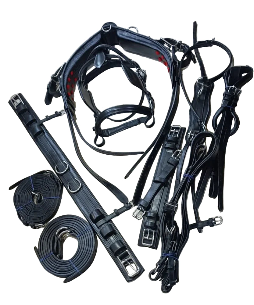 Set of black equestrian equipment including a bridle and reins on a tiled floor.