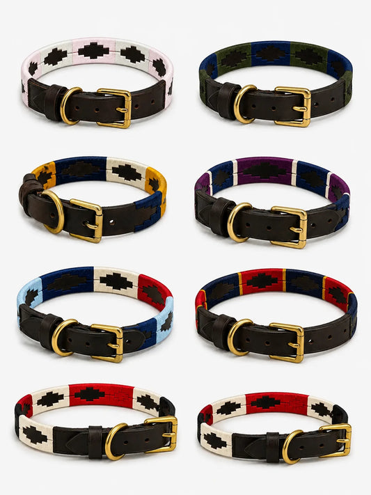 Argentinian Polo Dog Collar