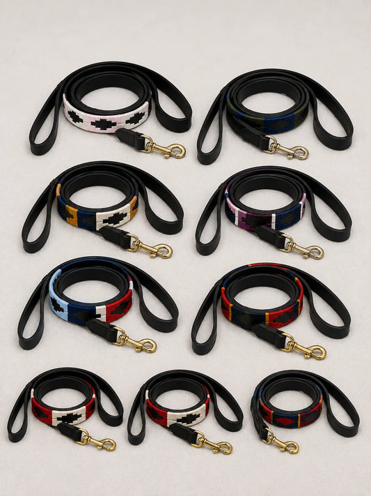 Argentinian Polo Dog Lead