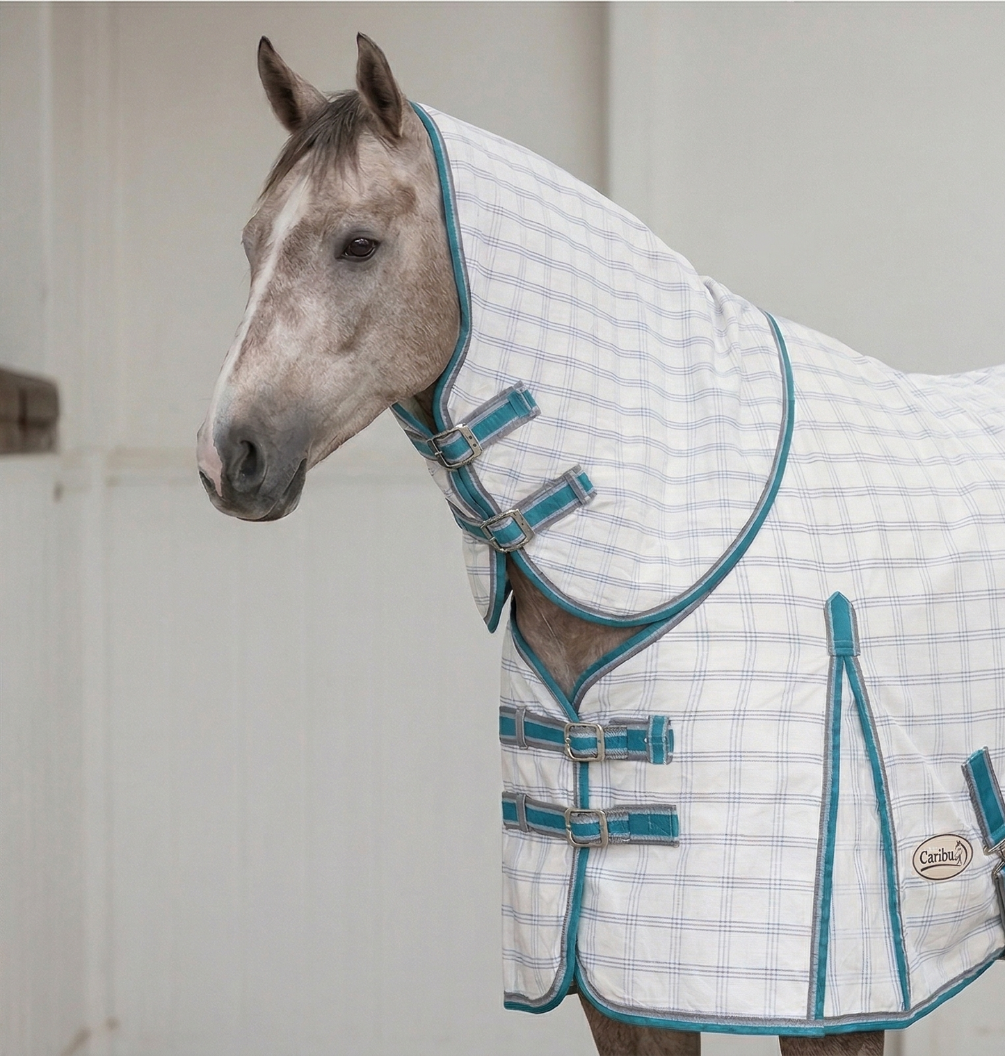 Combo Checker Fly Rug with Fabulous Turquoise Border