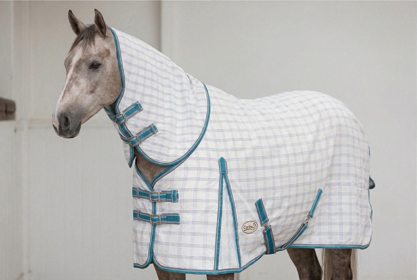Combo Checker Fly Rug with Fabulous Turquoise Border