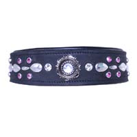 Dog Collar with Medallion & Crystal Detailing – Luxury Designer Collection