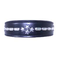 Starlight Studded Leather Dog Collar