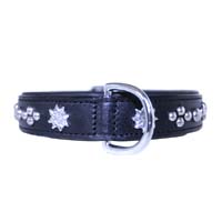 Star Studded Leather Dog Collar