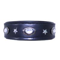 Silver Seraphim leather dog collar