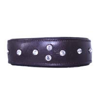 Mocha Stud leather dog collar