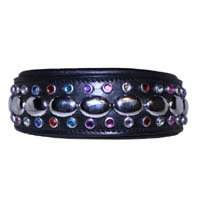 Regent's Rainbow leather dog collar