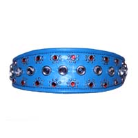 Tidal Pop Dog Collar
