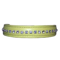 Lemon Dazzle dog collar