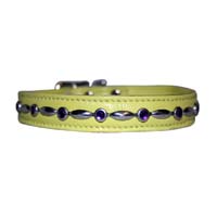 Amethyst Capsule Dog Collar