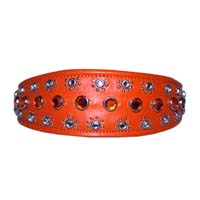 Blaze Studded Leather Dog Collar