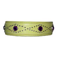 Lime & Lavender Stud Dog Collar