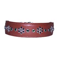 Cognac & Clover Dog Collar