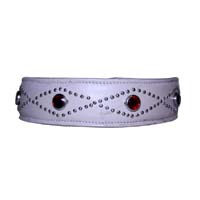 The Sterling Trellis Dog Collar