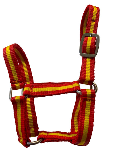 Criterion Economical Nylon Webbing Foal Head Collars – Bundle of 5