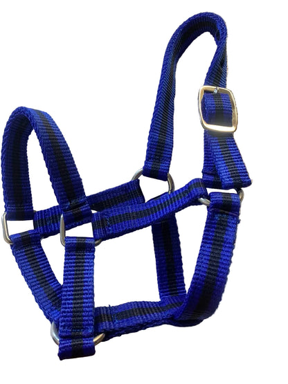 Criterion Economical Nylon Webbing Foal Head Collars – Bundle of 5