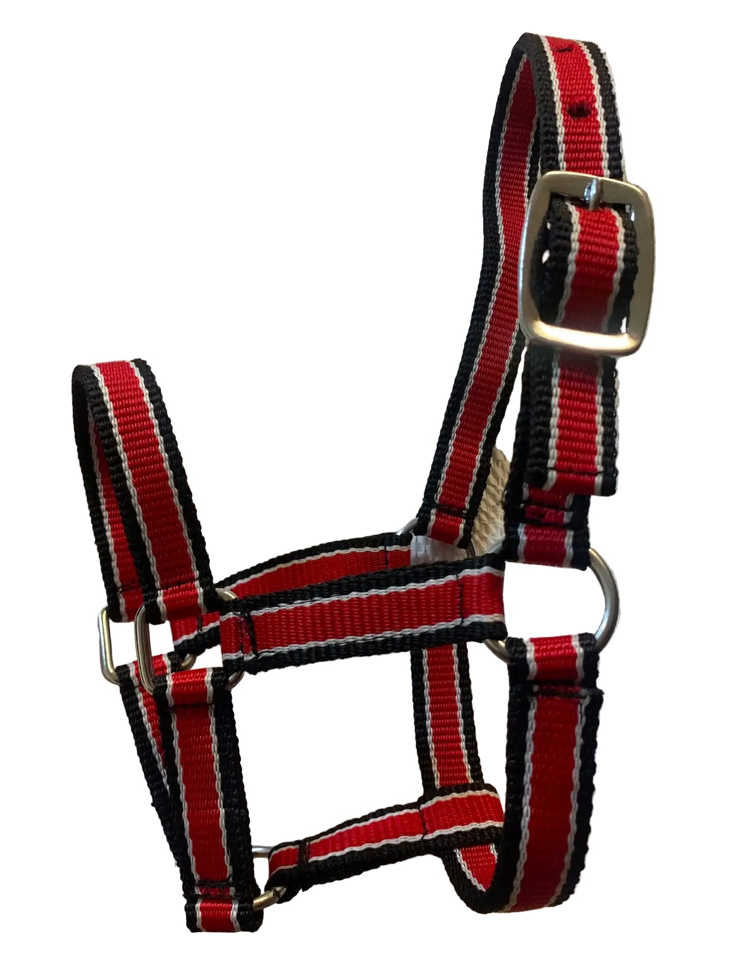 Criterion Economical Nylon Webbing Foal Head Collars – Bundle of 5