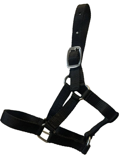 Criterion Economical Nylon Webbing Foal Head Collars – Bundle of 5