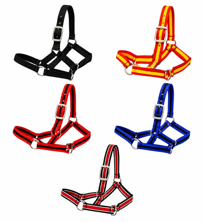 Criterion Economical Nylon Webbing Foal Head Collars – Bundle of 5
