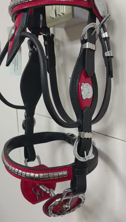 Heavy Show Bridle with Brass Clinchers, Bit & Matching Braided Lead – Black with Red Padding