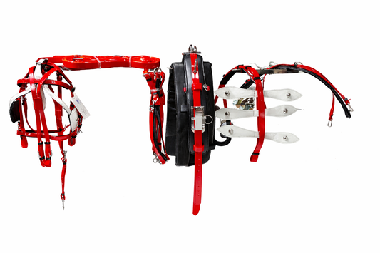 Red and White American Biothane Quick Hitch Harness Set | Waterproof Waffle Performance Pad