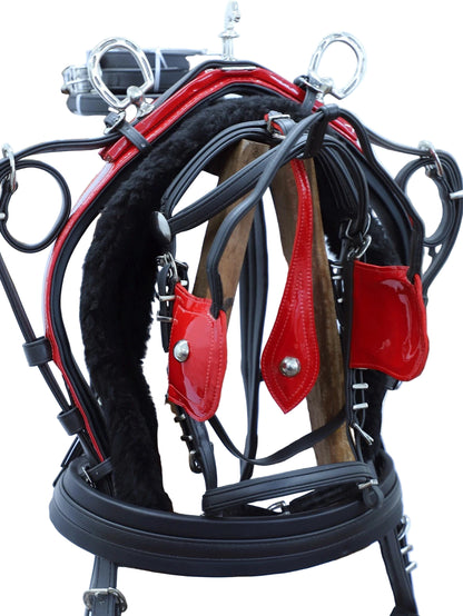 Close-up of a horse bridle with red leather straps on a white background