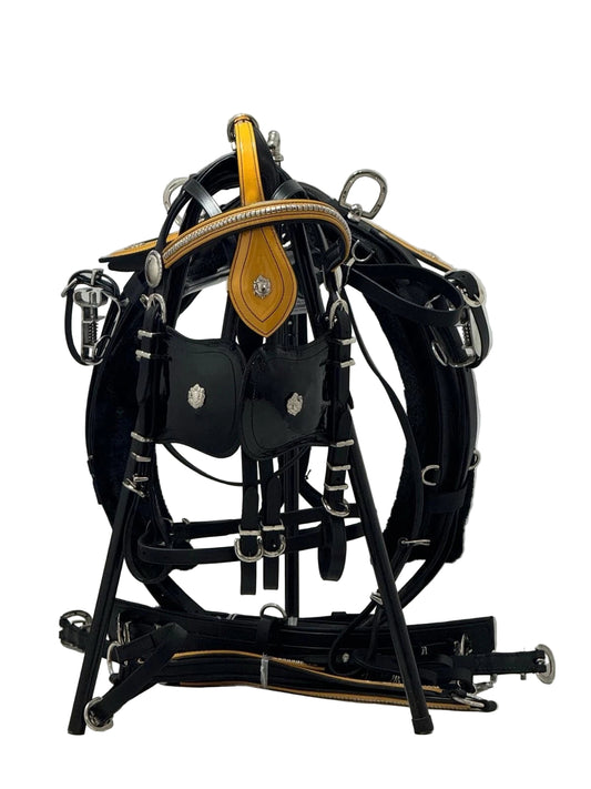 Black leather horse bridle with gold accents on a gray background