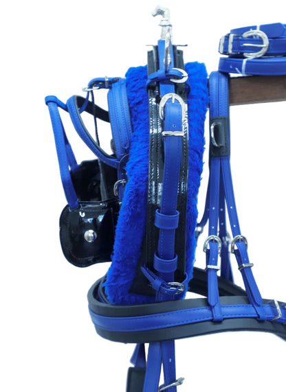 Blue equestrian bridle set on a white background