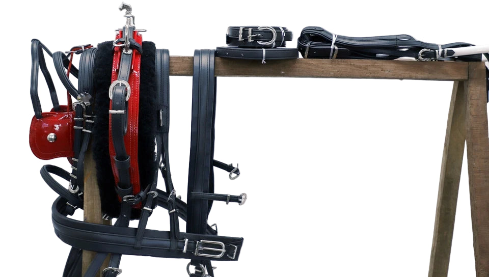 Collection of leather harnesses on a wooden stand against a white background