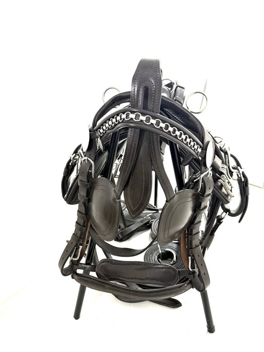 Black leather bridle with metal hardware on a white background